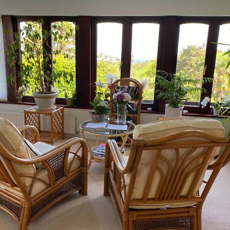 Kerryanna Country House Bed And Breakfast 梅瓦吉西 外观 照片