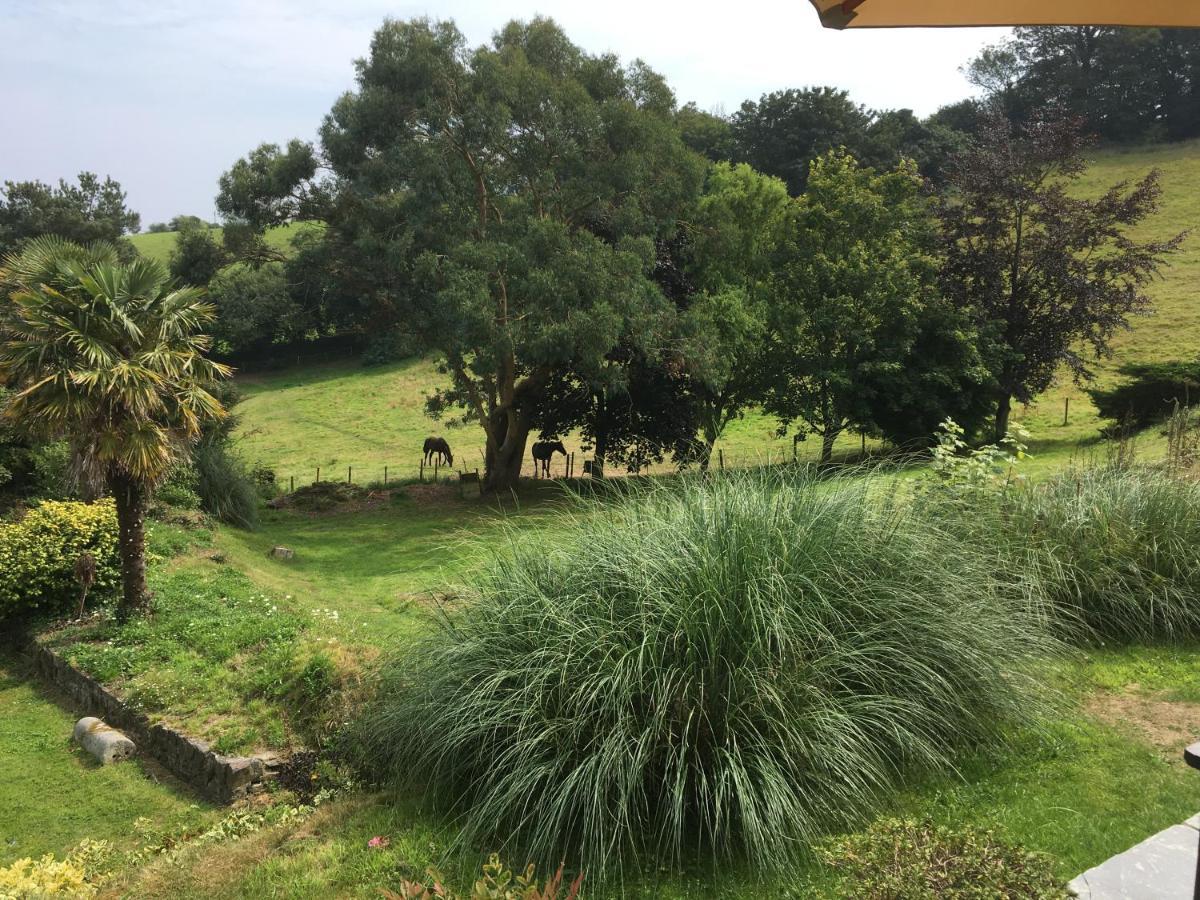 Kerryanna Country House Bed And Breakfast 梅瓦吉西 外观 照片